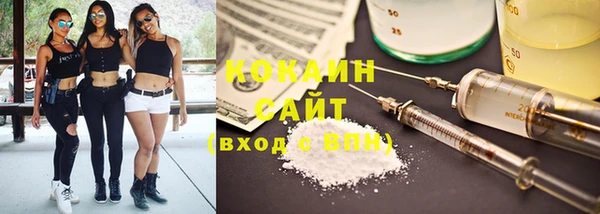 прущие грибы Володарск