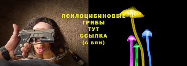 герыч Верхний Тагил