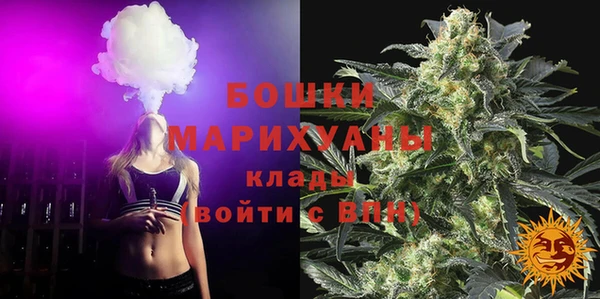 соль ск Волосово