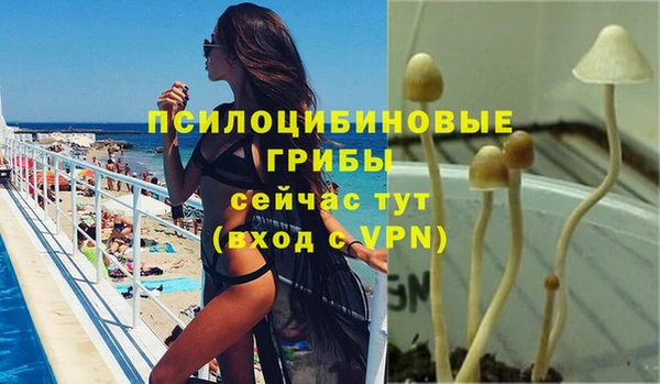 2c-b Верея