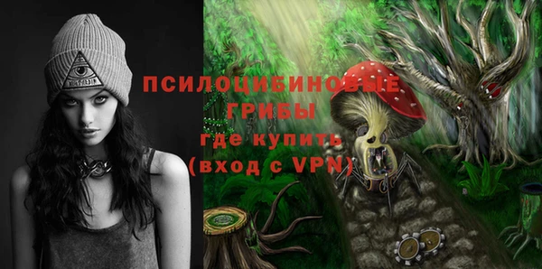 метадон Бородино