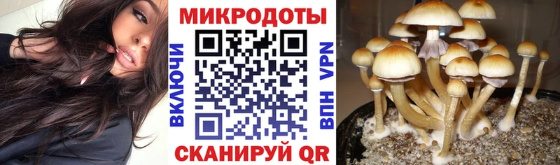 Псилоцибиновые грибы мухоморы  Купить закладки  Лесной 